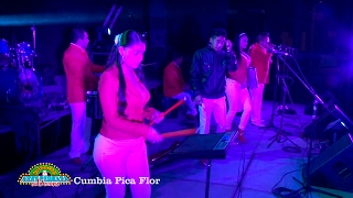 Nery Pedraza y los Guaraperos de la Cumbia 💥 Cumbia Pica Flor [upl. by Odirfliw]