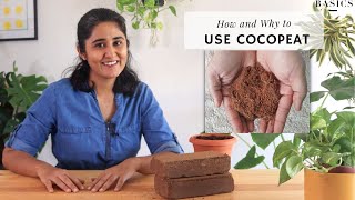 How to use Cocopeat the right way for Plants  Ep9 Garden Up Basics [upl. by Zahara]