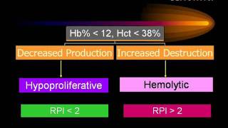 Anaemia [upl. by Leaffar]