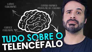 ESSE MÉTODO VAI TE AJUDAR A ENTENDER TUDO SOBRE O TELENCÉFALO [upl. by Worthington753]