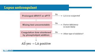 Antiphospholipid syndrome for medical student [upl. by Priscella]