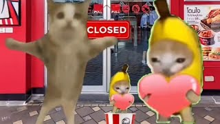 BANANA CAT 🍌🐱 HAPPY AND 😿 CRY  2 MINUTES  VIDEOS 14 catmemes cat bananacat happycats fyp [upl. by Htbazile347]