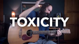 Toxicity  SYSTEM OF A DOWN  Acoustic Guitar Cover [upl. by Aehtla788]