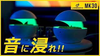 光と音に浸れる真空管スピーカー Lanchiya MK30 [upl. by Aslam653]