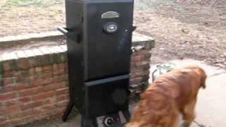 Smoking Spare Ribs on a Master Forge Propane Smoker [upl. by Kleiman]