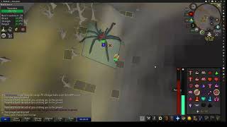 osrs venenatis safe spot rcb south [upl. by Michail]