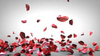 Falling Rose Petals [upl. by Vani]