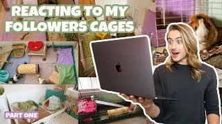 REACTING TO MY FOLLOWERS GUINEA PIG CAGES 🐽 ✨ [upl. by Cassiani825]