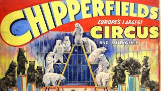 Circus Chipperfield’s  Gli orsi bianchi e bruni di Carl Fischer Jr [upl. by Welles458]