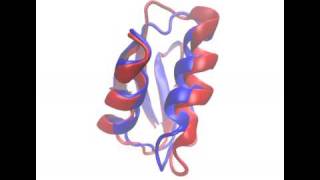 Highresolution NMR protein structure [upl. by Goldia]