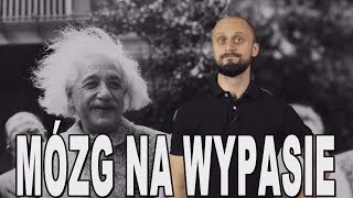 Mózg na wypasie  Albert Einstein Historia Bez Cenzury [upl. by Nauq]