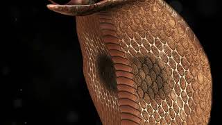 Meet the Inland Taipan Worlds Most Venomous Snake [upl. by Kcirrem896]