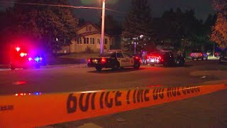 Domestic Dispute Leads To Fatal OfficerInvolved Shooting In St Paul [upl. by Siramed]