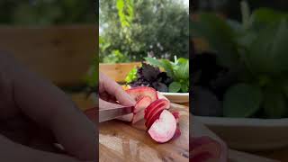 Vegetable Salad Recipe food recipe shortvideo weightloss [upl. by Le]