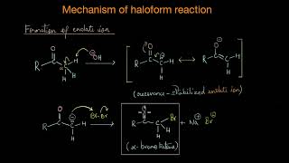 Mechanism of haloform reaction Aldehydes ketones and carboxylic acids  Chemistry  Khan Academy [upl. by Lossa]