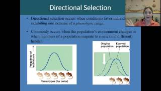 Stabilizing directional and disruptive selection [upl. by Meekahs]