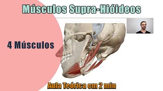 Músculos SupraHióideos  Teórica  Anatomia Humana [upl. by Adrea106]