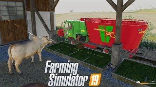 FS19  19 Alimento Mezclado para Vacas [upl. by Cadel]