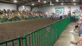 Fulton County Fair collecting nonperishable goods for food pantries [upl. by Akenn]