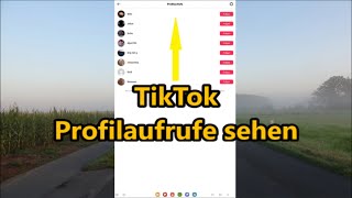 TikTok Profilaufrufe sehen  So aktivieren und deaktivieren  Wer hat dein TikTok Profil besucht [upl. by Behlke494]