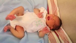 Newborn Baby Kicking and Crying [upl. by Frangos823]