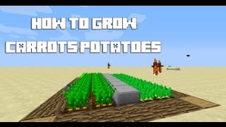 Minecraft How to Make Golden Carrot [upl. by Adyaj211]