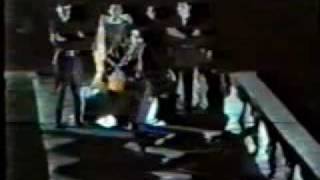 Litfiba  Yassassin  1984  video performanceflv [upl. by Nwahshar]