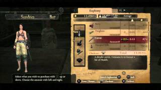 Dragons Dogma  Early Infinite Gold [upl. by Stern331]