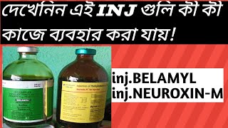 Belamyl and NeuroxinM injection Veterinary Uses [upl. by Koal]