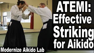 Aikido Atemi  Effective AIKIDO STRIKES • Modernize Aikido Lab [upl. by Brunhilde755]