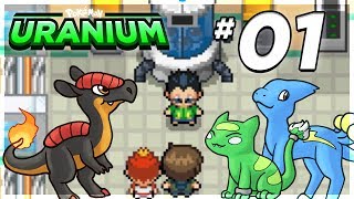 Pokémon Uranium  Episode 1  The Professors Test [upl. by Garda]