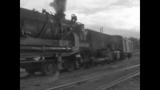 Trainspotting with Roger McKenzie NSW trains 1960s70s [upl. by Narat]