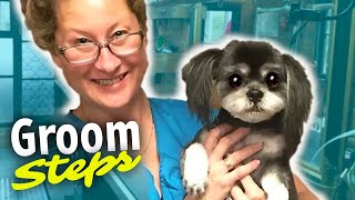 Kennel Cough What it sounds like and how a veterinarian will treat kennel cough [upl. by Elrahc348]