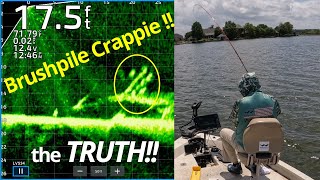 BRUSHPILE CRAPPIE FISHING LIVESCOPE [upl. by Alial794]