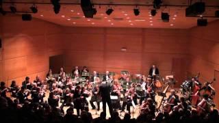 Concerto pour Violon de Tchaikovsky  1er Mouvement [upl. by Amadeo294]