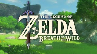 Molduga Battle Third Phase  The Legend of Zelda Breath of the Wild [upl. by Gniw]