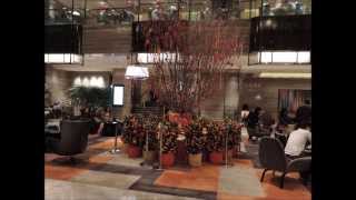 Hong Kong Room Tour  Royal Plaza Hotel [upl. by Nodnahs917]