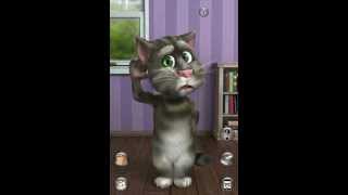 Talking Tom Cat 2  Flash Game  Casual Gameplay [upl. by Atteuqcaj851]