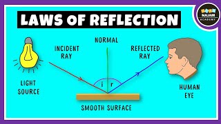 Laws of Reflection of Light Physics [upl. by Fitzgerald115]