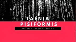 Taenia Pisiformis [upl. by Linzer]