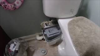 Ascent 2 upflush toilet PROBLEMS part1 [upl. by Tildie]