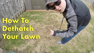 How To DETHATCH YOUR LAWN With A THATCHING RAKE  Spring Lawn Care [upl. by Anoyi264]