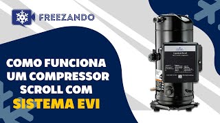 Compressor Scroll com sistema EVI – Como funciona [upl. by Graff]