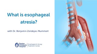 What is esophageal atresia [upl. by Imoyik]