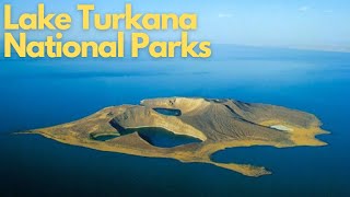 Exploring the Wonders of Lake Turkana National Parks Kenya [upl. by Ramona]