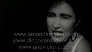 Amanda Miguel  Lo Ví Video oficial [upl. by Burck]