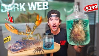 ORDERING DEADLY LIVE FISH OFF THE DARK WEB whats inside [upl. by Larimer]