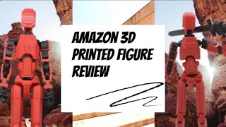 Amazon dummy 13 review [upl. by Fleda523]