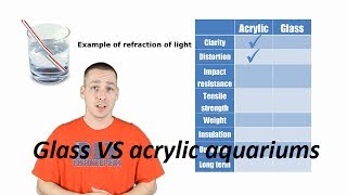 Glass VS Acrylic aquariums [upl. by Eisnyl]