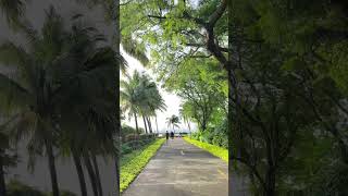 Cuffe Parade Park gardenscapes lushgreen nature [upl. by Anidualc]